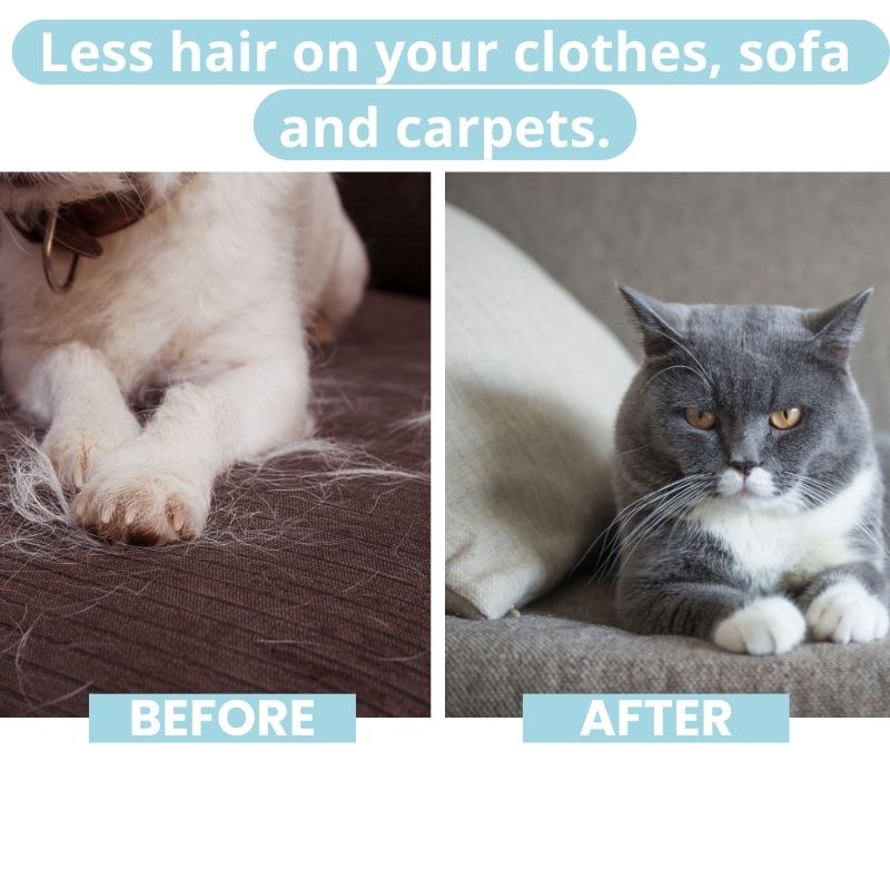 FurryCare™- The only brush to protect your pet's health