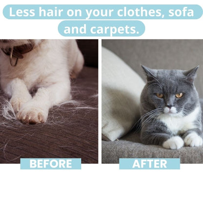 FurryCare™- The only brush to protect your pet's health