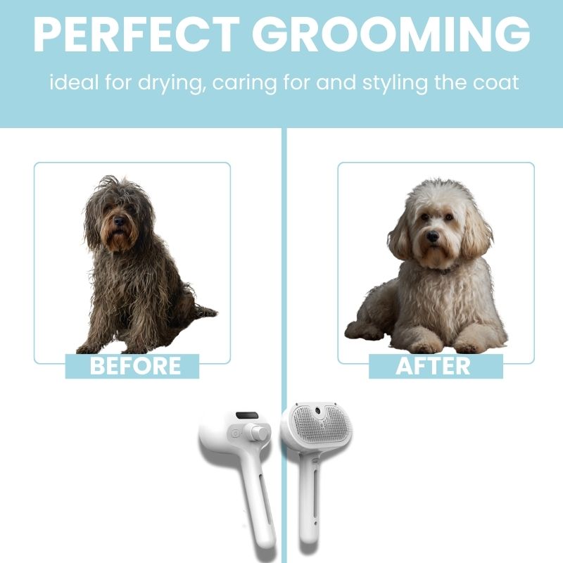 FurryCare™- The only brush to protect your pet's health