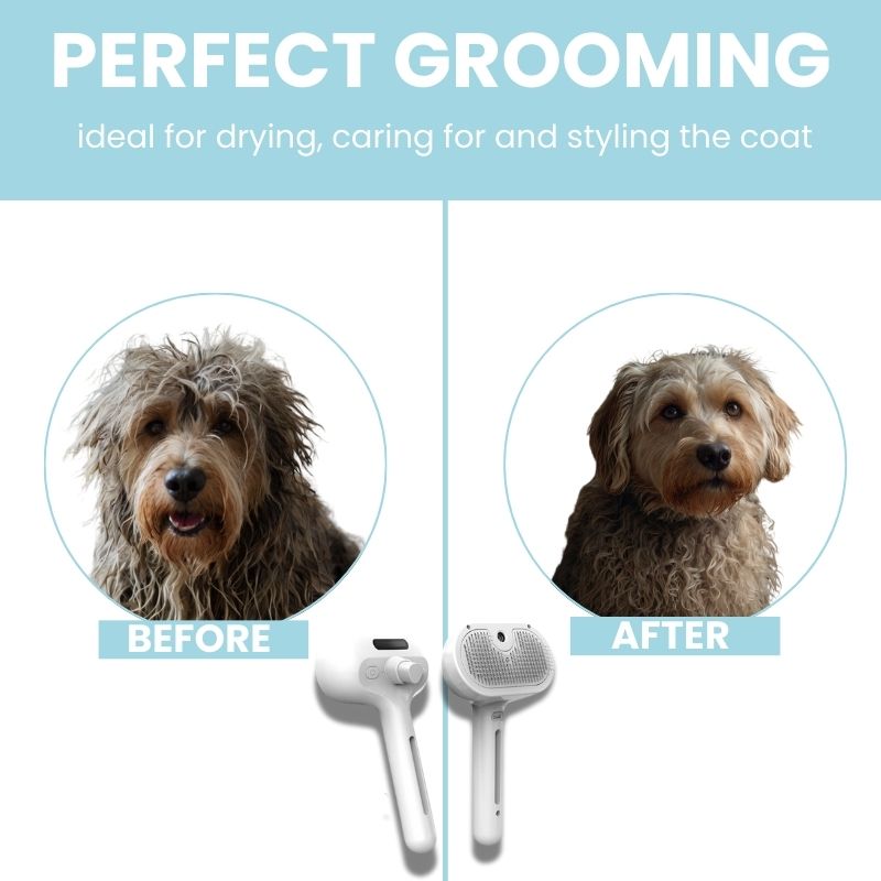 FurryCare™- The only brush to protect your pet's health