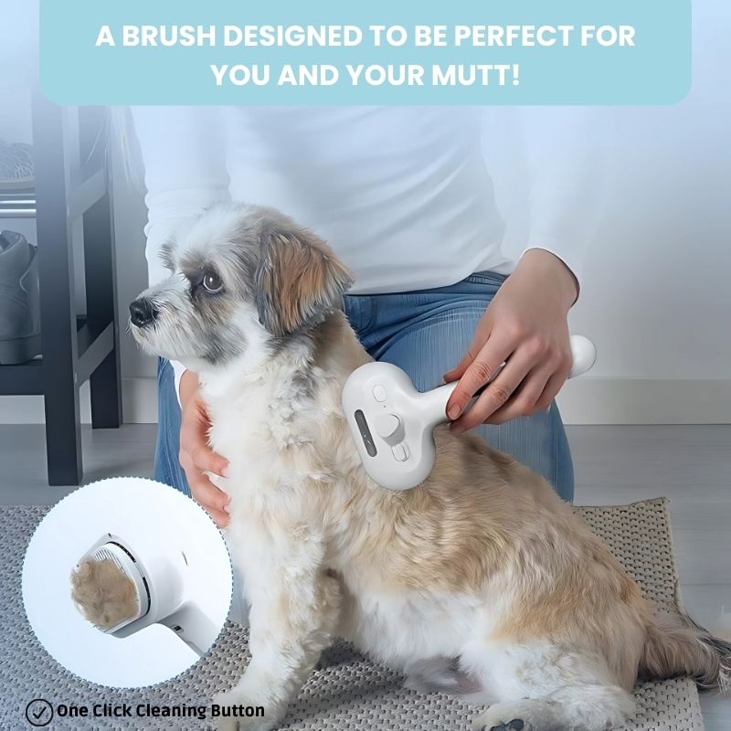 FurryCare™- The only brush to protect your pet's health
